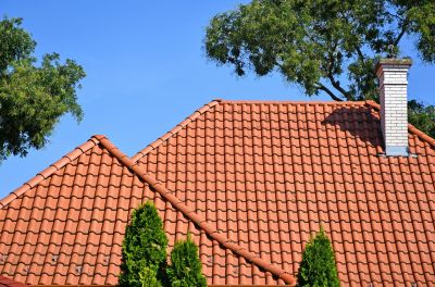 Identify and Rectify Damage to Your Tile Roof!